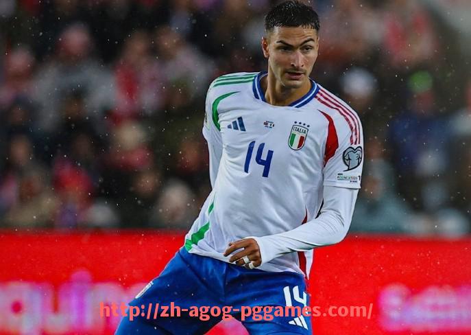 pg电子在线下载-关于NBA火箭队的专业书籍推荐