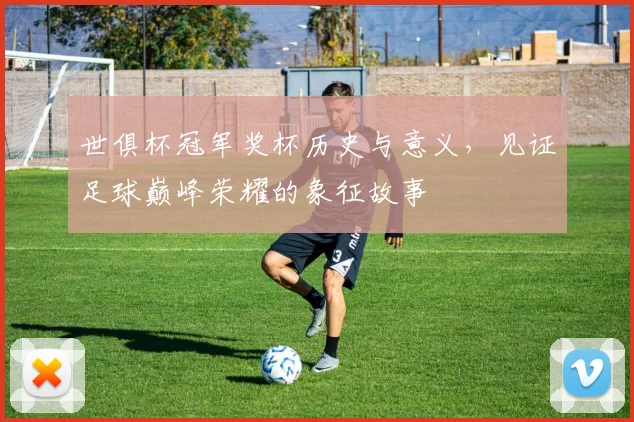 世俱杯冠军奖杯历史与意义，见证足球巅峰荣耀的象征故事